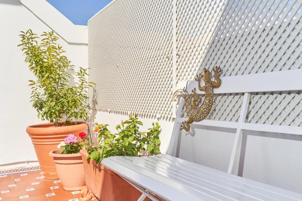 Estudio Luminoso Cerca De La Playa Nerja